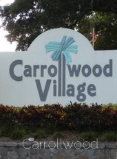 Carroll Wood